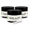 3 x VitalizeNature Shilajit - 3 x 30 g Shilajit Original + Ashwagandha - Natural Himalayan Shilajit - 500 mg Shilajit Resin per Daily Dose & 100 mg Ashwanganda view 1