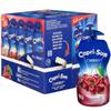 DhaCapri Sun Pouch Cherry 15x330ml MAS view 1