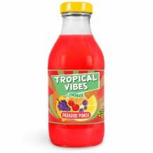 DhaTropical Vibes Lemonade Paradise Punch 15x300ml MAS