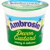 DhaAmbrosia Custard Original Pot 12x150g MAS view 1