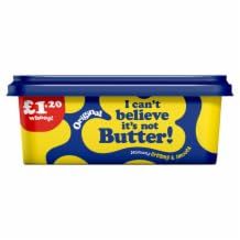 DhaI Cant Believe Its Not Butter 8x250g MAS