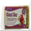 DhaMa Baker Giant Bars Berry 20x90g(8) MAS view 1