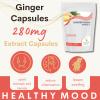 Ground Ginger Root 280mg 120 Capsules  Pure Zingiber Officinale Supplement for Digestive Health & Inflammation Support view 4