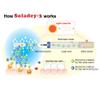 Soladey 3 Ionic Toothbrush, Solar Panels and TiO2 Semiconductor, 3 Row Honeycomb Bristle Red, You can Brush Without Toothpaste view 4