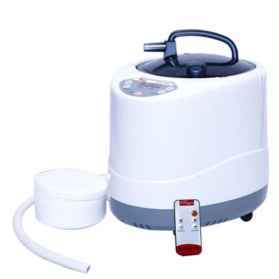 Sauna Steamer Pot, 4L Portable Sauna Generator for Home SPA, Body Therapy Steamer with Timer Display, Fumigation Steam Machine