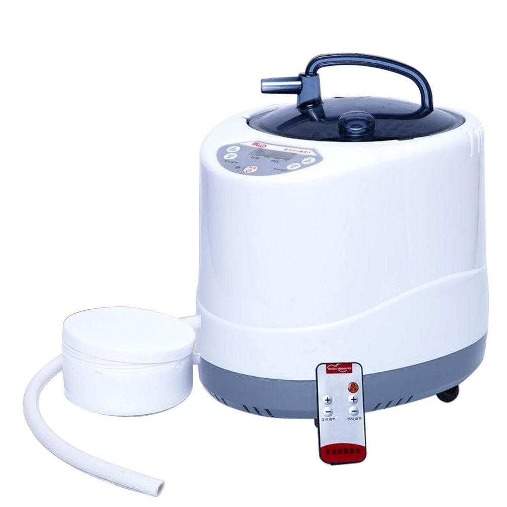 Sauna Steamer Pot, 4L Portable Sauna Generator for Home SPA, Body Therapy Steamer with Timer Display, Fumigation Steam Machine
