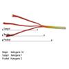 Pushal Saffron Threads in Bag 9.2 g High Quality for Baking and Cooking Paella view 3