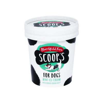 MyAfricaStore Marshfield Dog Ice Cream Mint Cup 24x125ml