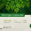 Ambrosial Moringa Capsules 2000 mg High Strength | 4 Months Supply Premium Moringa Leaf Extract 10:1 Concentrate Natural Plant-Based Herbal Supplement for Daily Wellness Support 120 Capsules view 2