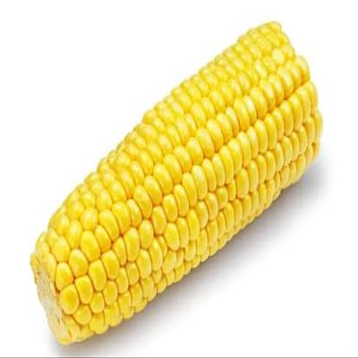 Corn on the Cob (Pack of 4)