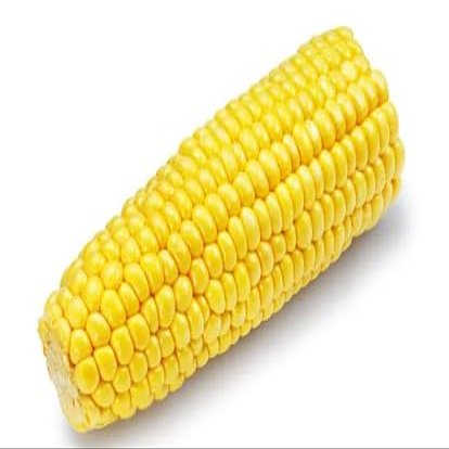Corn on the Cob (Pack of 4)