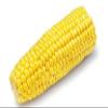Corn on the Cob (Pack of 4) view 1