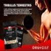 AW Tribulus Terrestris | 120 Tribulus Terrestris High Strength Capsules - 10,000mg Tribulus Extract per Capsule | Tribulus Herbal Supplements Tribulus for Men | Non-GMO & Filler Free | Made in The UK view 3