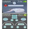 LZDOYY Freeze Slimming Machine, Fat Removal Machine Cryolipolysis Fat Lipolysis Instrument Single Head freezing Burst Fat Slimming Instrument with 3 Handles,220V view 4