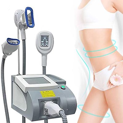 LZDOYY Professional Cryolipolysis Slimming Machine Cryolipolysis Fat Freezing Machine, with 3 Handles,110V