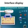 LZDOYY Freeze Slimming Machine Cryolipolysis Fat Lipolysis Instrument freezing Burst Fat Slimming Instrument with 2 Handles,110V view 4