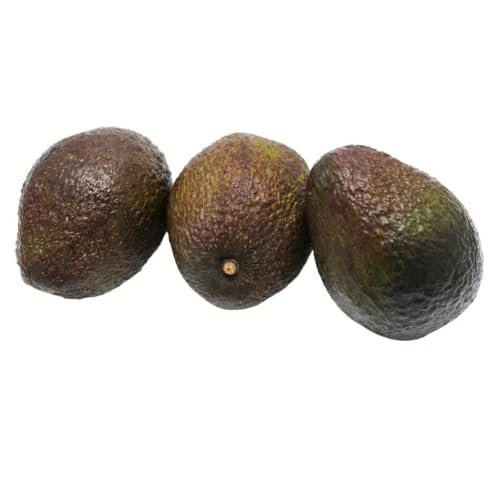 Ripe and Ready Avocado (PACK OF 6)