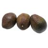 Ripe and Ready Avocado (PACK OF 6) view 1