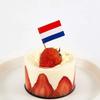 100 Pcs Mini Stick Cupcake Toppers Flags,Party Decoration Celebration Cocktail Food Bar Cake Flags (Netherlands) view 3