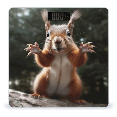Weight Scale, Squirrel Funny Animal1 Print Digital Scale Bathroom Scale LCD Display Scale Body Weight Scale Portable Scale