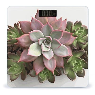 Weight Scale, Succulent Botanical Print Digital Scale Bathroom Scale LCD Display Scale Body Weight Scale Portable Scale