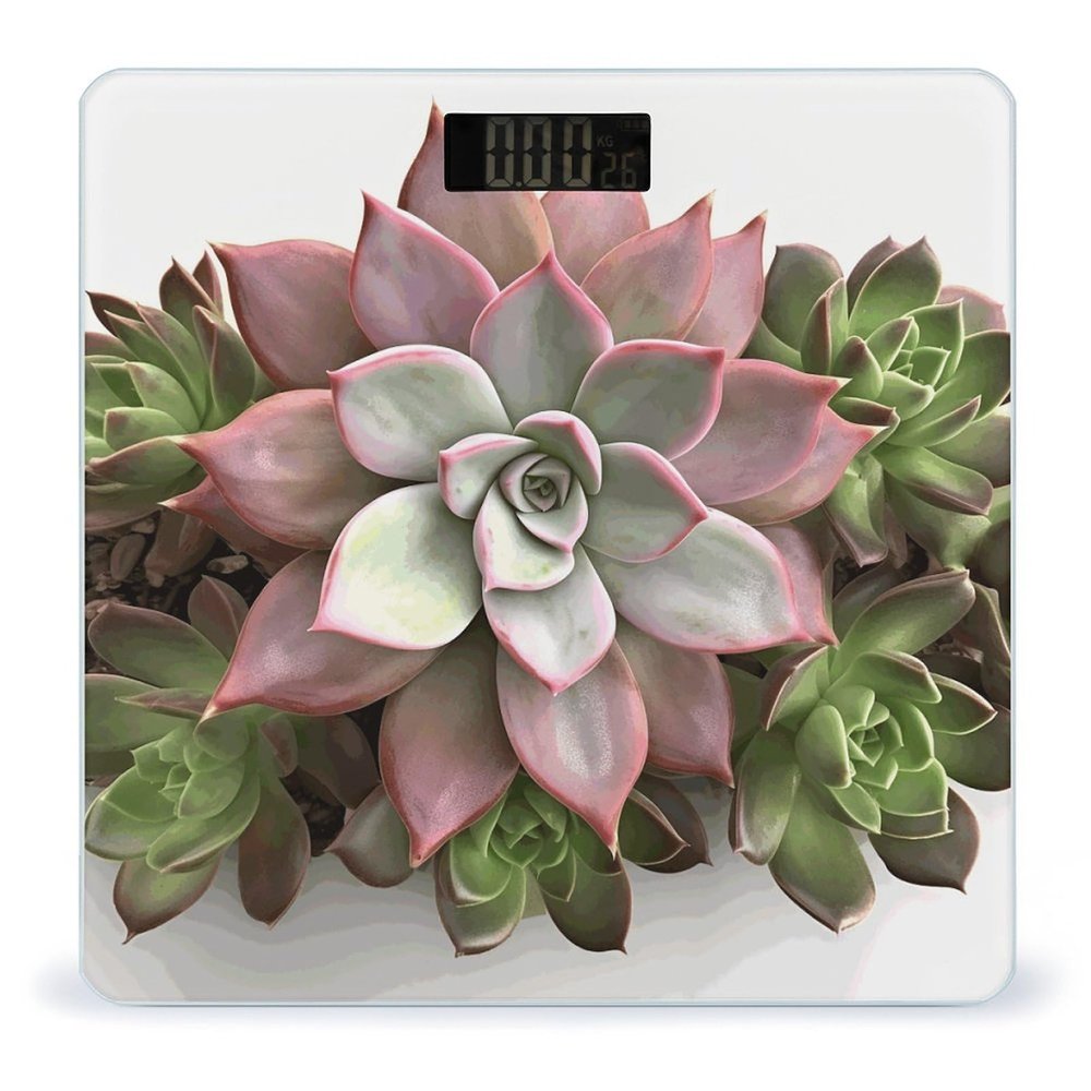 Weight Scale, Succulent Botanical Print Digital Scale Bathroom Scale LCD Display Scale Body Weight Scale Portable Scale