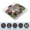 Weight Scale, Succulent Botanical Print Digital Scale Bathroom Scale LCD Display Scale Body Weight Scale Portable Scale view 3