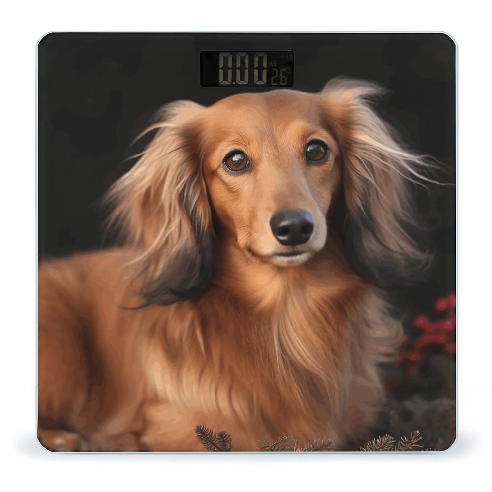 Weight Scale, Long Haired Dachshund Print Digital Scale Bathroom Scale LCD Display Scale Portable Scale Fitness Scale Household Scale