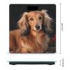 Weight Scale, Long Haired Dachshund Print Digital Scale Bathroom Scale LCD Display Scale Portable Scale Fitness Scale Household Scale view 2