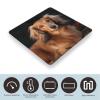 Weight Scale, Long Haired Dachshund Print Digital Scale Bathroom Scale LCD Display Scale Portable Scale Fitness Scale Household Scale view 3