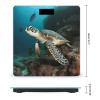 Weight Scale, Sea Turtle Print Digital Scale Bathroom Scale LCD Display Scale Body Weight Scale Portable Scale view 2