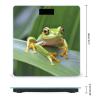 Weight Scale, Tree Frog Baby Print Digital Scale Bathroom Scale LCD Display Scale Body Weight Scale Portable Scale view 2