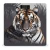 Weight Scale, Tiger at Rest Print Digital Scale Bathroom Scale LCD Display Scale Body Weight Scale Portable Scale view 1