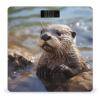 Weight Scale, Otter Playing in The Water Print Digital Scale Bathroom Scale LCD Display Scale Portable Scale Fitness Scale Household Scale view 1