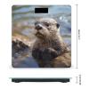 Weight Scale, Otter Playing in The Water Print Digital Scale Bathroom Scale LCD Display Scale Portable Scale Fitness Scale Household Scale view 2