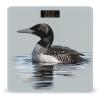 Weight Scale, Loon Nature Bird Print Digital Scale Bathroom Scale LCD Display Scale Portable Scale Fitness Scale Household Scale view 1