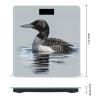 Weight Scale, Loon Nature Bird Print Digital Scale Bathroom Scale LCD Display Scale Portable Scale Fitness Scale Household Scale view 2