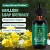 Mullein Leaf Extract for Lungs, Mullein Drops, Powerful Mullein Leaf Liquid Drops, Vegan Mullein Leaf Sublingual Fast Absorption - 60ml*2-4 Month Supply view 2