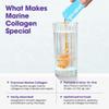 Proto-col Marine Collagen - 10,000mg hydrolysed Collagen Peptides Liquid Gel Sachets with Hyaluronic Acid & Vitamin C - High Absorption Formula for Skin Hydration & Anti-Aging Support (15 Sachets) view 2