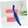COLLBATH 4pcs Denture Cleaning Brushes Lightweight Design Double Sided Toothbrushes for Braces and Dentures Suitable for Daily and Travel Use view 3