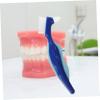 FRCOLOR 4pcs Denture Brushes Double Sided Denture Cleaning Brush Travel Size Portable Toothbrush for Seniors Red and Blue view 4