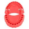 Denture Drill Bit Holder Denture Screwdriver Organizer 3D Sculpture Desk Decor 28 Holes Red (Without Bits) view 2