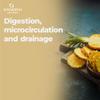 Bandini Bromelain High Strength Draining 5000 GDU/g per Serving | 200 Gastro-Resistant Tablets | Digestive Enzyme | Pure Pineapple Extract for Inflammation, Swelling & Digestion | No Additives, Vegan view 2