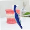 Healeved 4pcs Double-Sided Denture Cleaning Brush Denture Brush Toothbrush Interdental Blue Material Portable Travel view 3