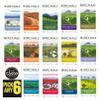 Birchall Plant Based Prism Tea Bags Pick Any 6 packs from 14 Flavours: Darjeeling, Great Rift Breakfast, Great Rift Decaf, Virunga Afternoon, Virunga Chai, Mao Feng Green Tea, Jasmine Tea Pearls Etc. view 1
