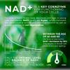 Endotelio 1-MNA Vegan Complex, NAD Supplement with D3, K2, B12, Iron & Folic Acid, The Vegan Multivitamin with NAD Support, Anti Ageing, Energy & Immune Health for Plant-Based Diets, 30 Capsules view 3