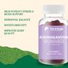 Ashwagandha Gummies 3000mg High Strength, by Yin & Yang Superfoods with Vitamin B6 - Vegan, Sugar-Free - Supports Stress Relief, Hormonal Balance, Immune Health, and Sleep Quality - 60 Gummies view 2