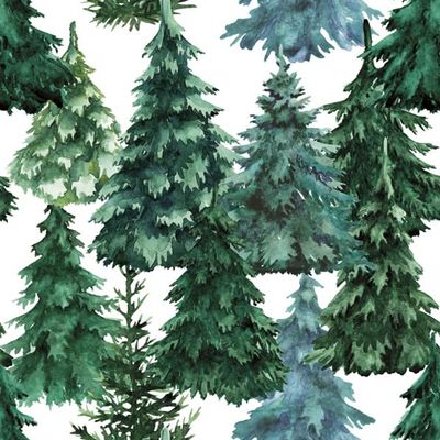 3-Ply Daisy Xmas Decoupage Tissue Paper Napkins Decorative Christmas Serviettes 33cm x 33cm - Pack of 20 (Watercolour Winter Forest)