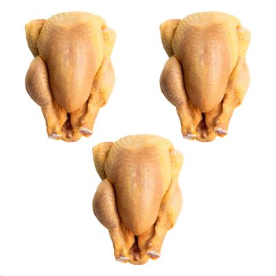 Corn Fed Poussins From Urban Merchants, Fresh, Tender And Juicy Chicken, Pack of 3