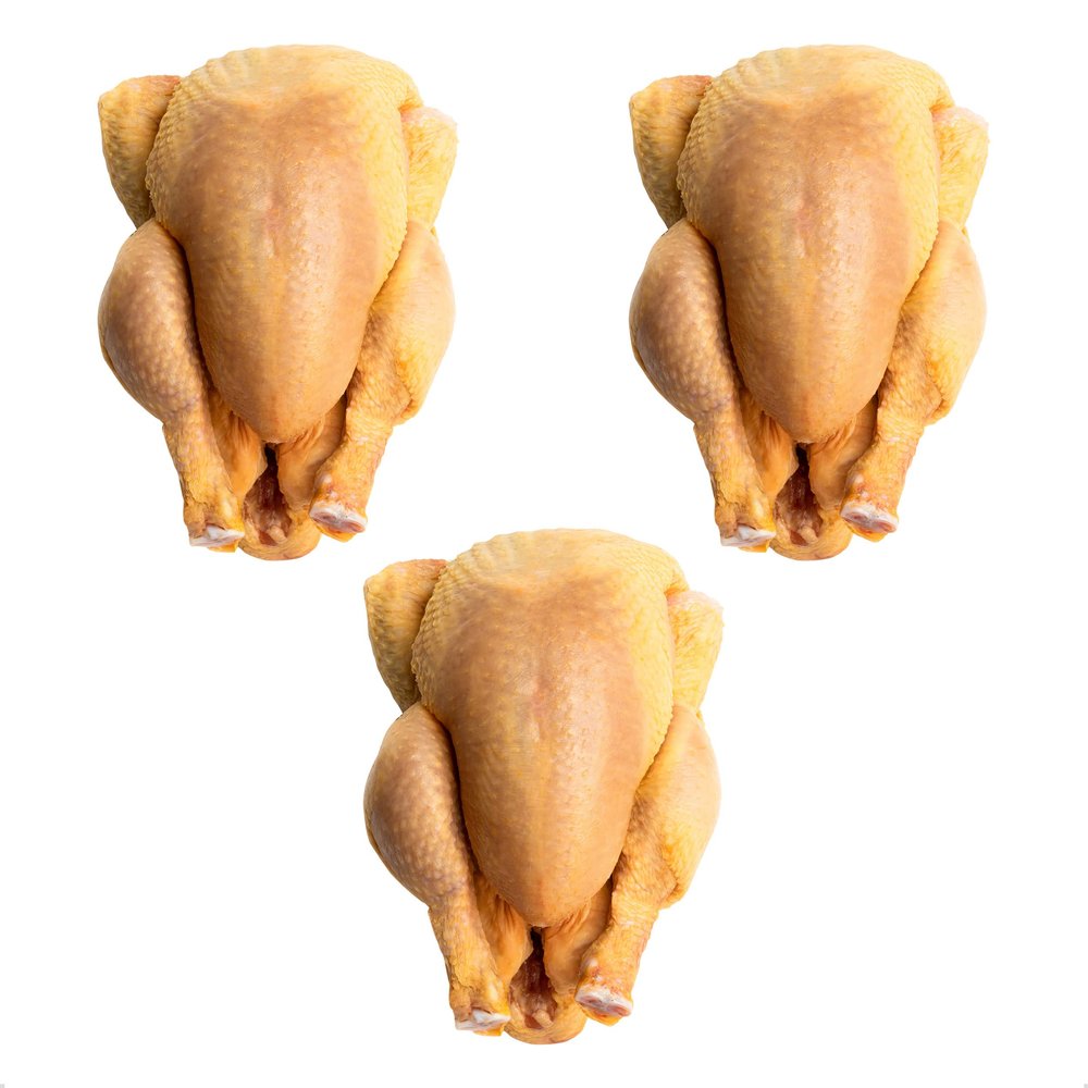 Corn Fed Poussins From Urban Merchants, Fresh, Tender And Juicy Chicken, Pack of 3